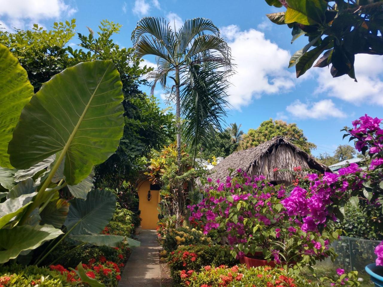 Hotel Zullymar Aptos Tamarindo Eksteriør billede
